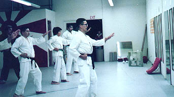 fist patches