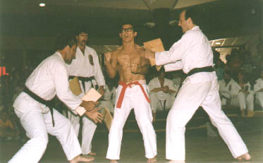 fist patches