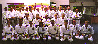 fist patches